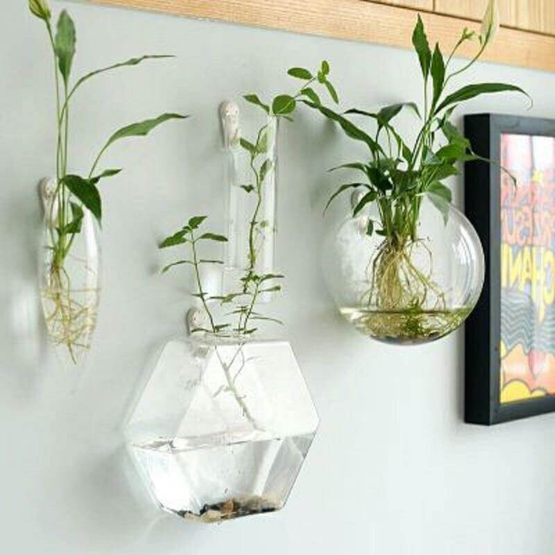 Handmade New Hexagonal Wall Clear Terrarium Vase - Image 0