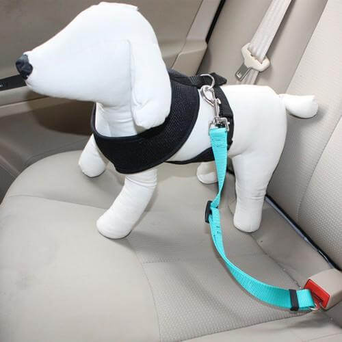 Pet Car Safety Belt Leash - Image 1