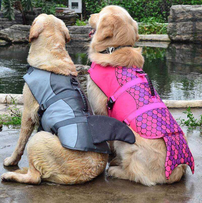 Shark Doggie Swim Vest - Image 0