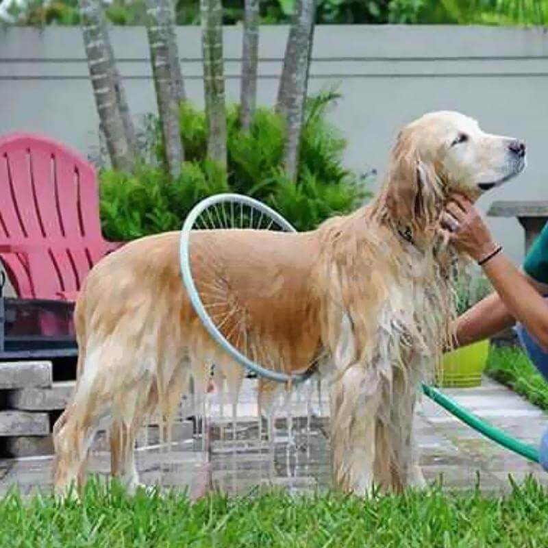 360 Degree Shower for Pet - Image 0