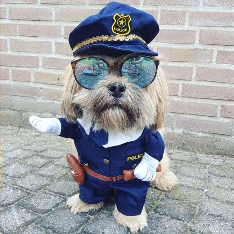 Policeman Dog Costume - Image 0