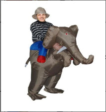 Carnival Inflatable Dinosaur Cowboy and different Costume - Image 8