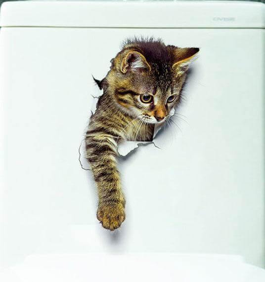 3D Pet Wall and Bathroom Stickers - Image 1
