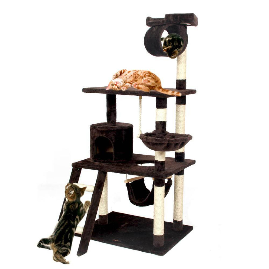 Wood Climbing Tree For Pets - Image 2
