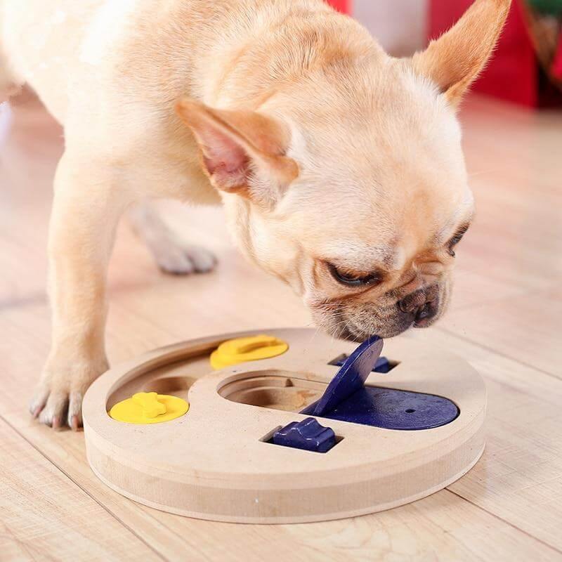 Pet Puppy Dog IQ Training Interactive Toy - Image 0