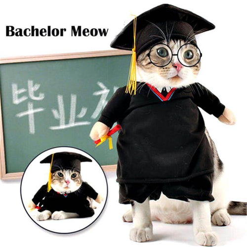 Pet Professor Costume - Image 0