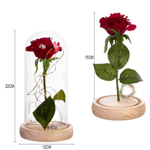1Pcs Beast Red Rose Flower Vase - Image 0