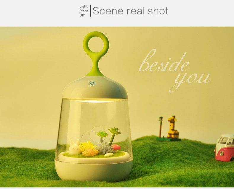 Novelty USB Charging LED Colorful Micro-landscape Plant Light - Image 4