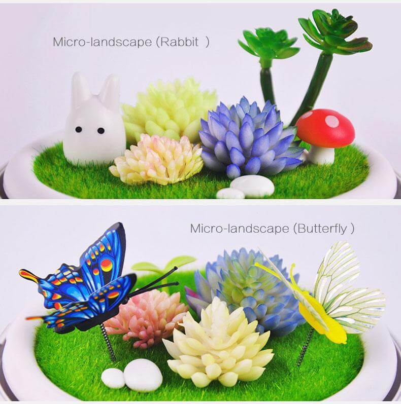 Novelty USB Charging LED Colorful Micro-landscape Plant Light - Image 2