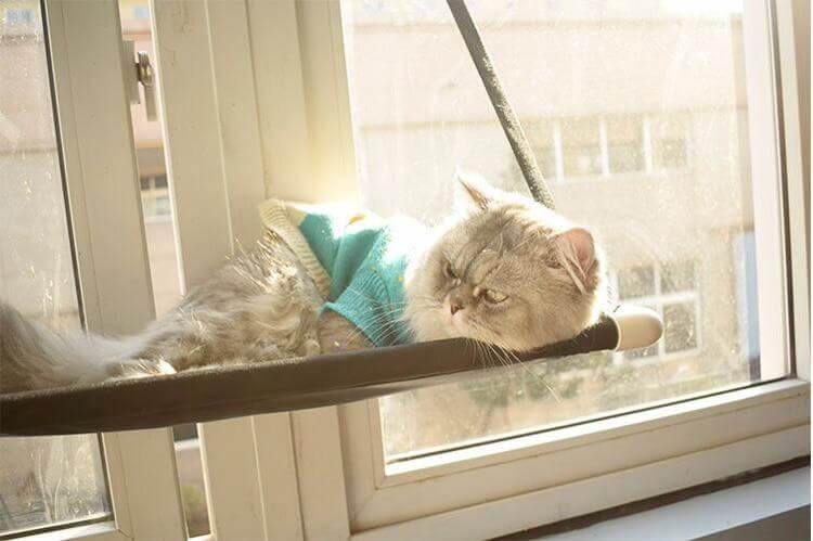 Comfortable Cat Hammock Bed - Image 1