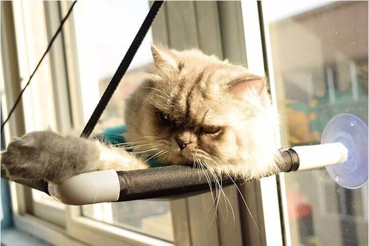 Comfortable Cat Hammock Bed - Image 4