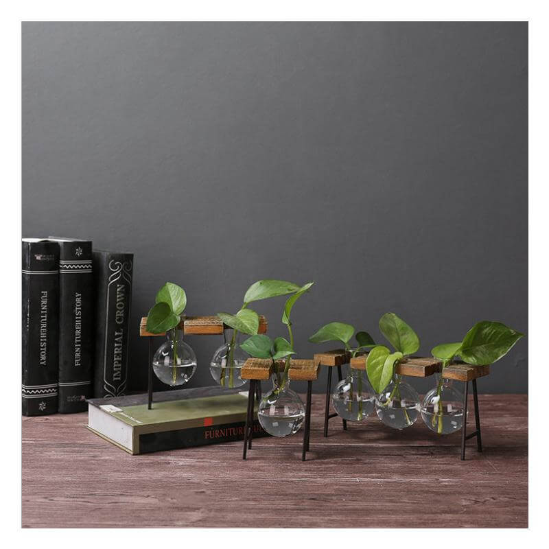 Creative Home Decoration Hydroponic With Iron Feet Plant Vase - Image 0