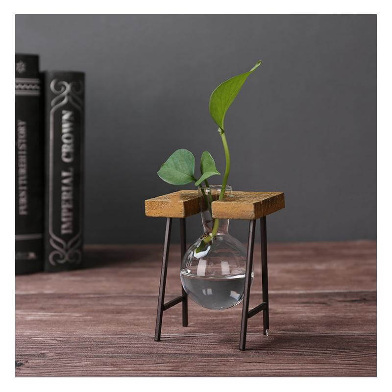 Creative Home Decoration Hydroponic With Iron Feet Plant Vase - Image 2