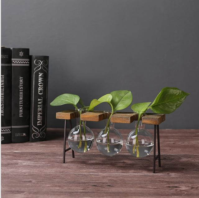Creative Home Decoration Hydroponic With Iron Feet Plant Vase - Image 3