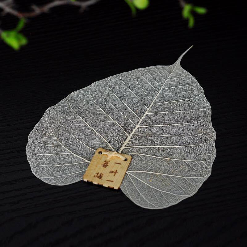 Large Leaf Tea Filter - Image 1