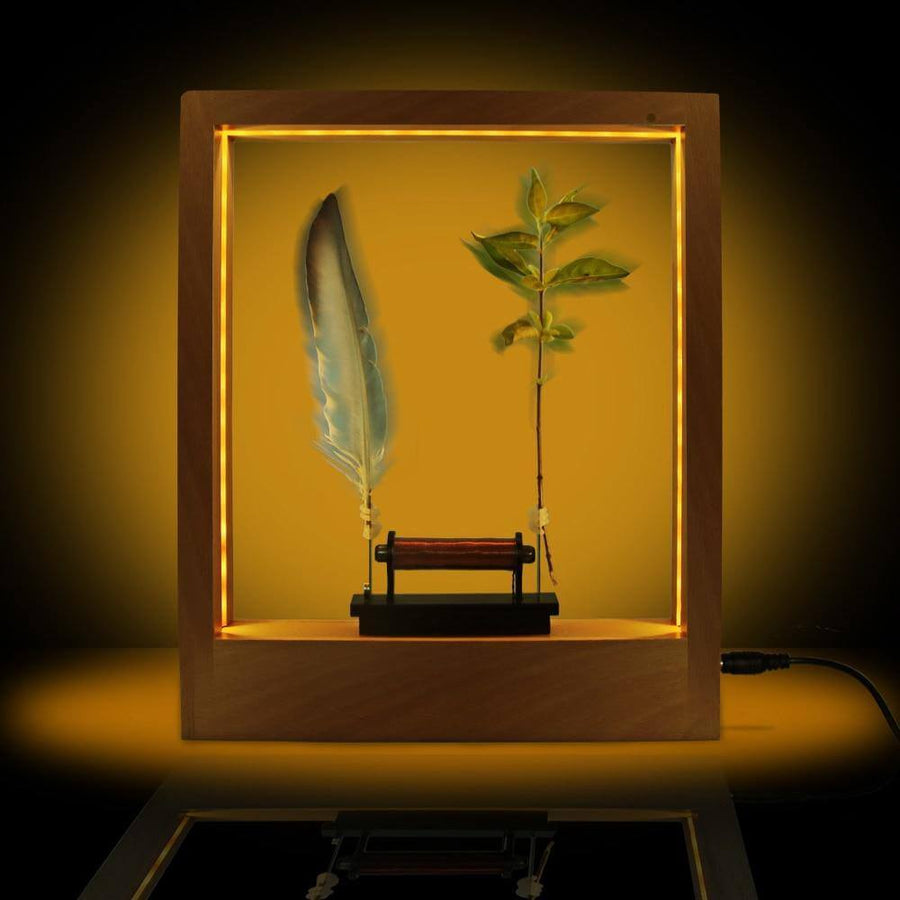 Slow Motion Frame LED Feather Night Light - Image 2