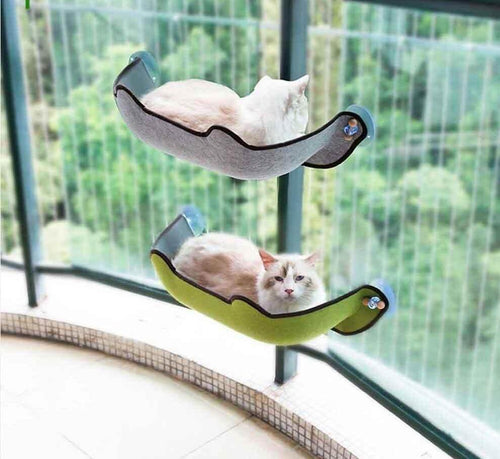Cat Window Hammock - Image 0