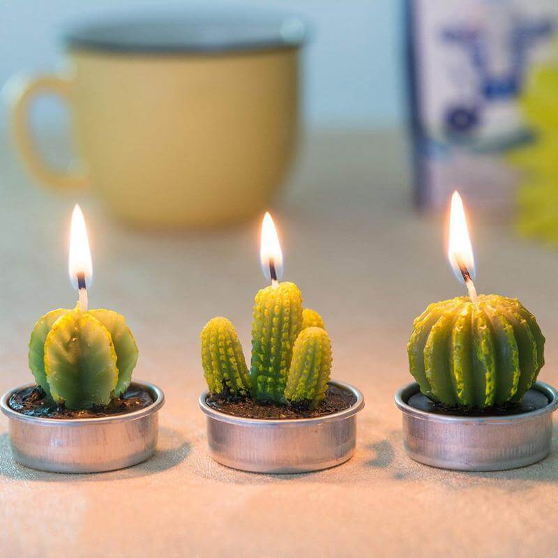 12Pcs Cactus Aroma Candle - Image 1