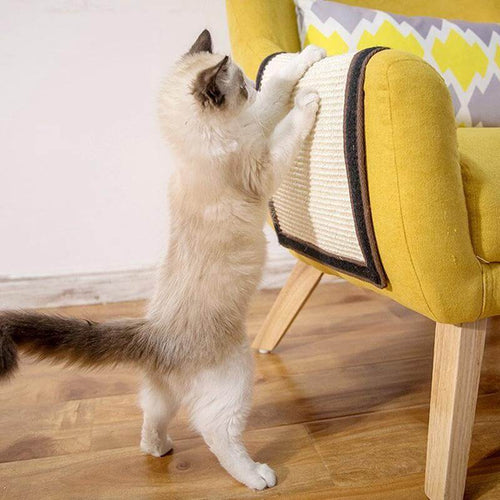 Pet Couch Scratch Board - Image 0