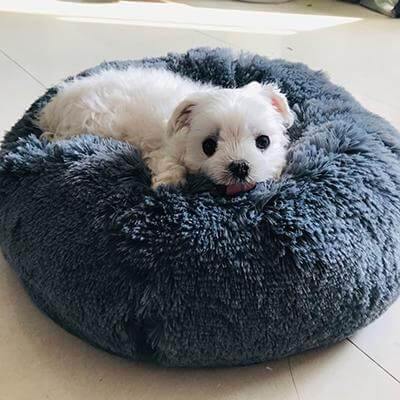 Super Soft Pet Bean Bag - Image 1