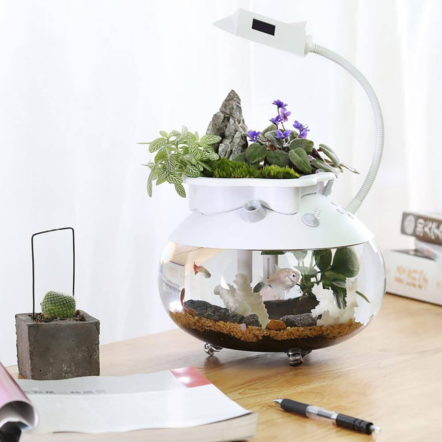 Creative Ecological Mini Fish Tanks - Image 2