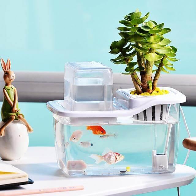 Creative Ecological Mini Fish Tanks - Image 7