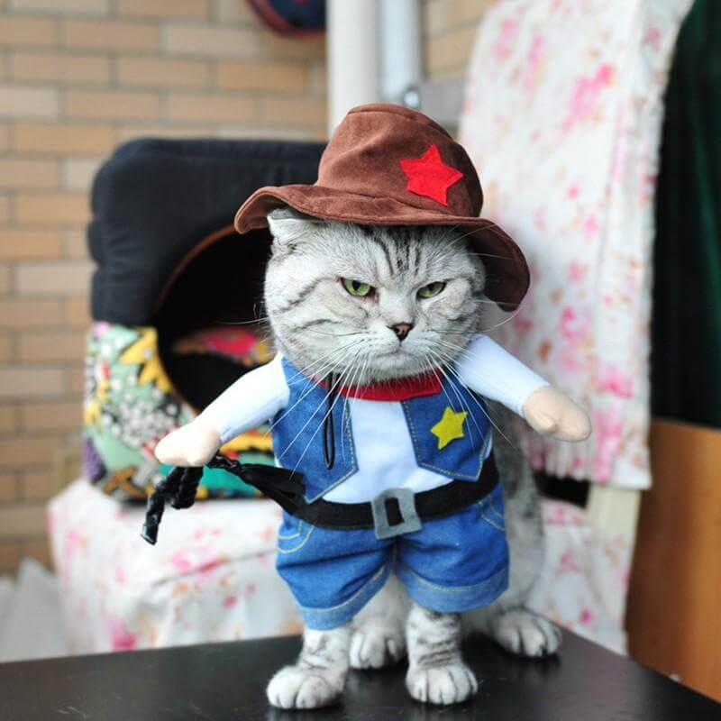 Pet Costume Cowboy Jeans - Image 0
