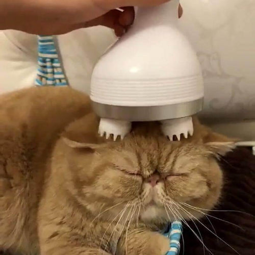 3D Waterproof Pet Massager Petter - Image 0