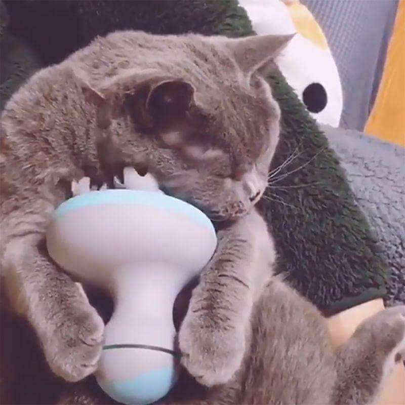 3D Waterproof Pet Massager Petter - Image 3