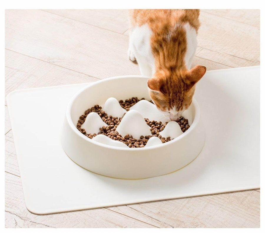 Modern Pet Slow Food Bowl - Image 4