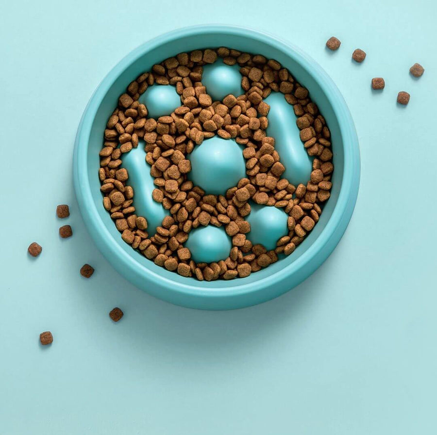 Modern Pet Slow Food Bowl - Image 9