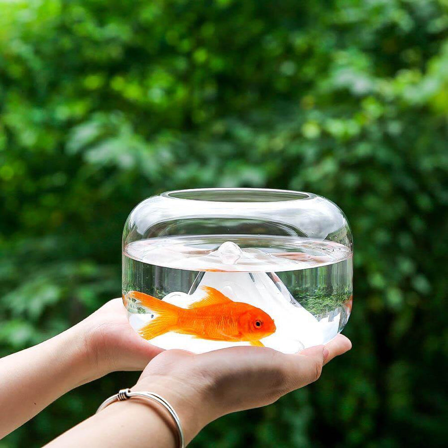Creative Transparent Snow Mountain Fish Aquariums - Image 2