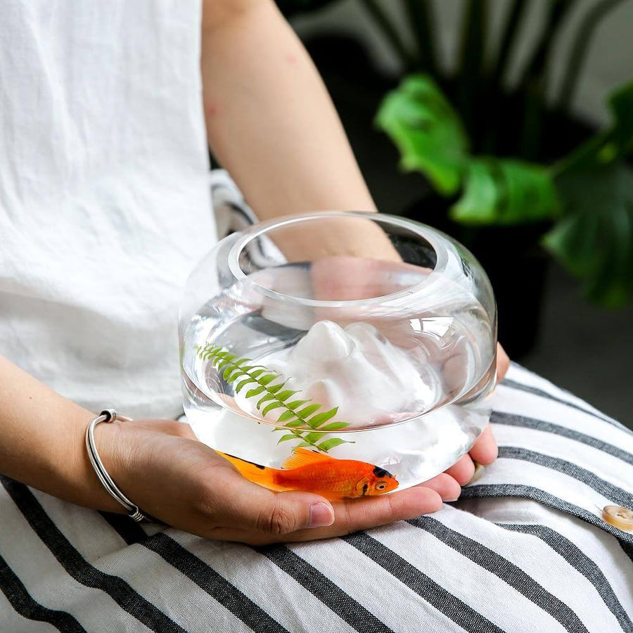 Creative Transparent Snow Mountain Fish Aquariums - Image 6