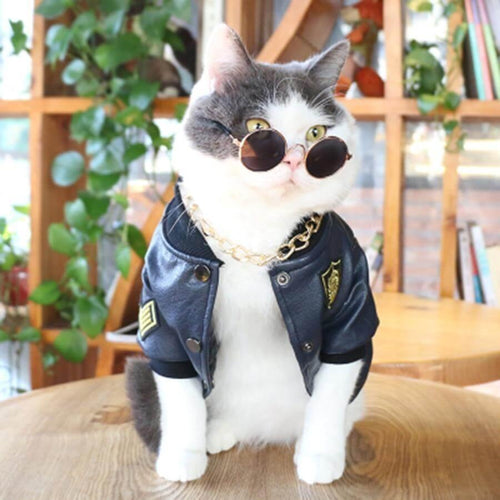Leather Pet Jacket - Image 0