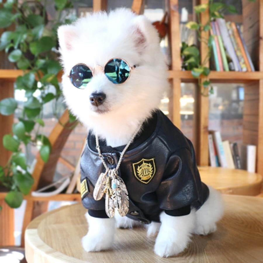 Leather Pet Jacket - Image 4