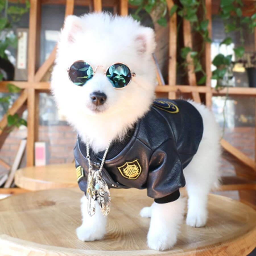 Leather Pet Jacket - Image 5