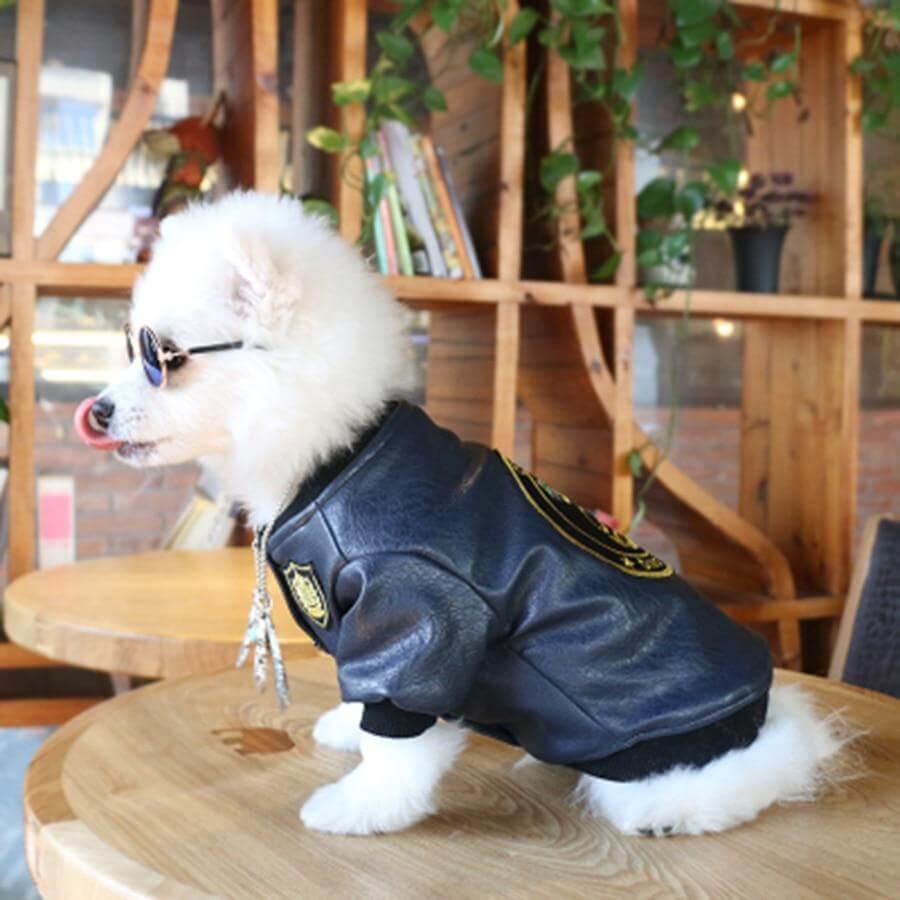 Leather Pet Jacket - Image 2