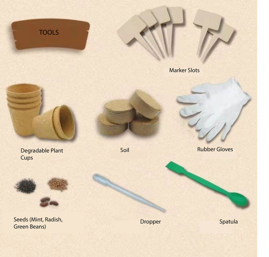 Mini DIY Kids Garden Kit - Image 5
