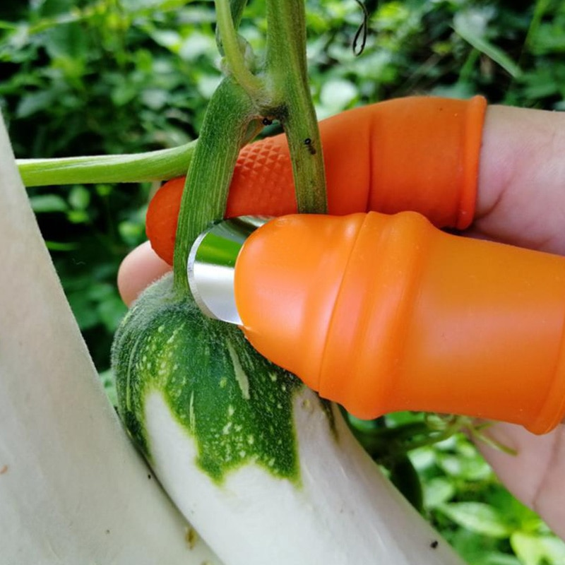 Thumb Cutter Knife - Image 1