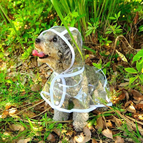 Dog Rain Coat - Image 0