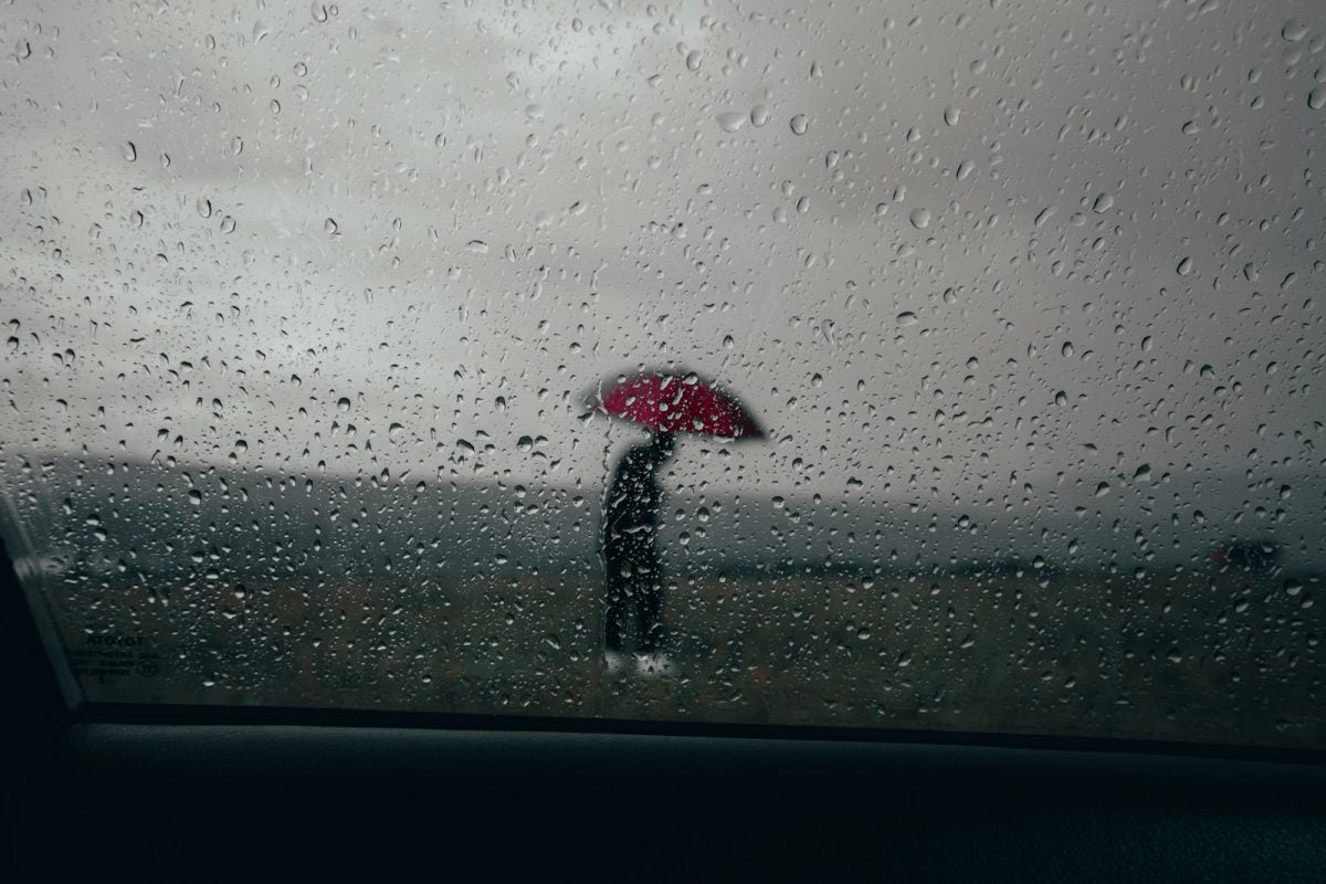 Car Umbrella: Your Guide to Portable Car Shades