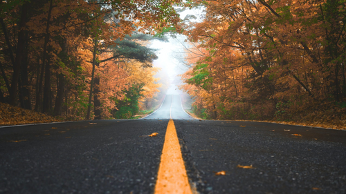 27 Must-Have Products for Every Journey