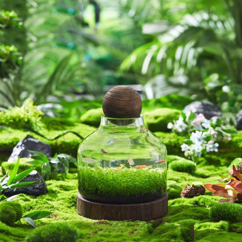 Discover the Ideal Gift: Micro Aquarium Compact Glass Fish Tank for Elegance and Tranquility