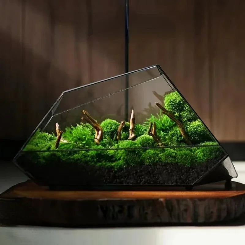 Geometric Glass Terrarium: The Perfect Gift for Plant Lovers & Home Decor