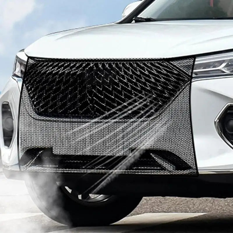 The Ultimate Car Enthusiast Gift: Simple Radiator Mesh for Engine Protection