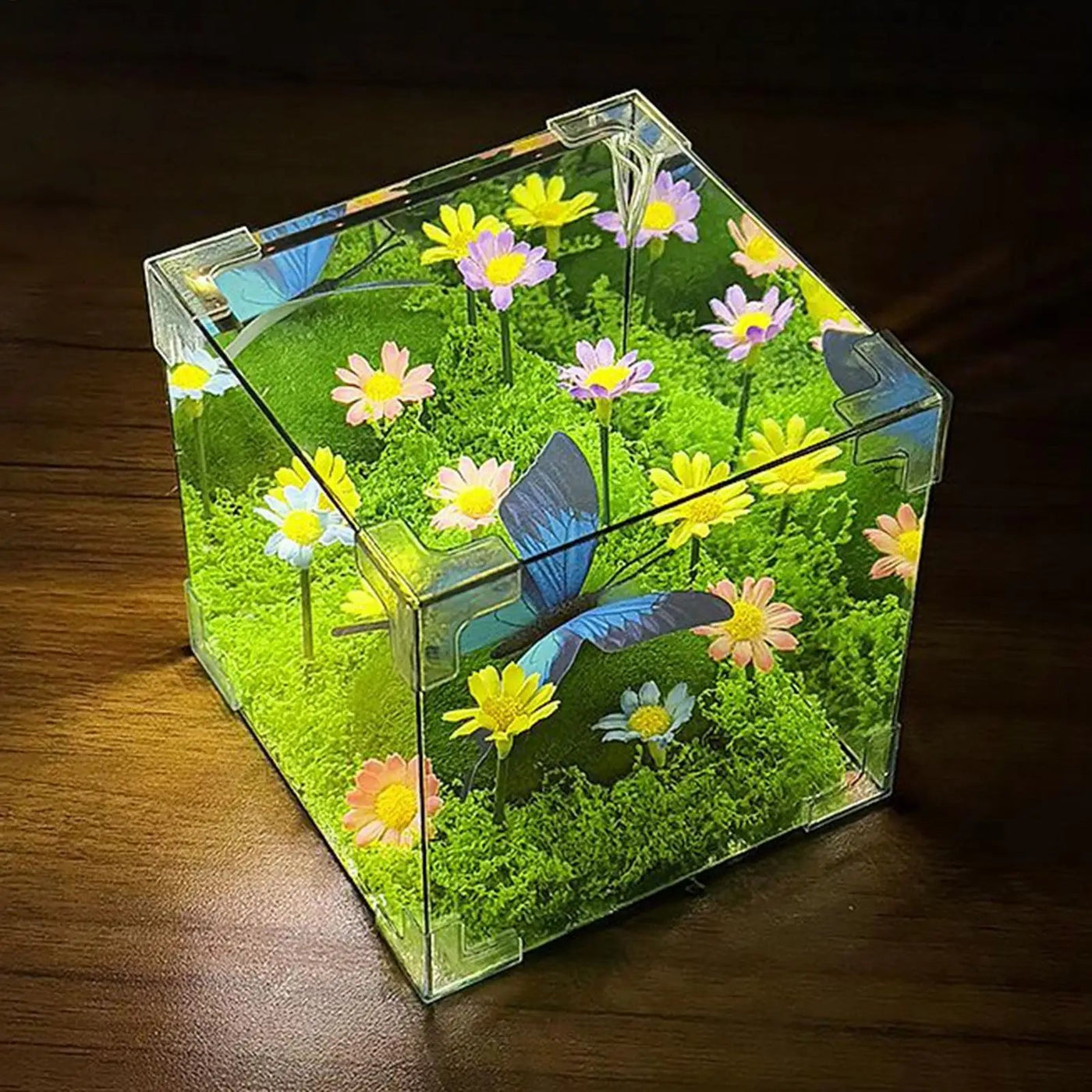 LED Butterfly Garden Cube: A Magical Night Light & Unique Gift for Tranquil Decor