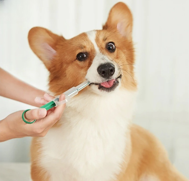 Easy Pet Medicine Syringe: The Ultimate Stress-Free Gift for Pet Owners