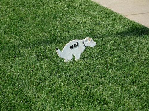 Lawn Ornament: What It Is and How to Choose One