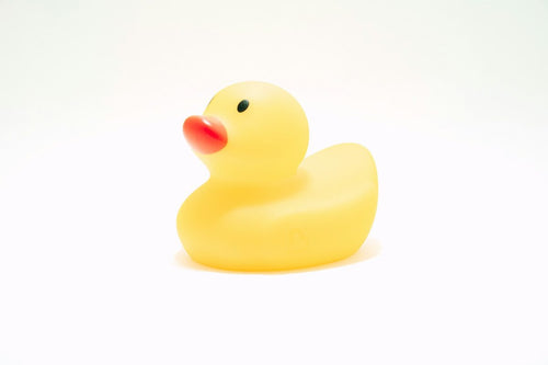 Duck Shower Explained: What It Is & How It Works