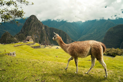 Peru Tours: Your Guide to Choosing the Best Itinerary